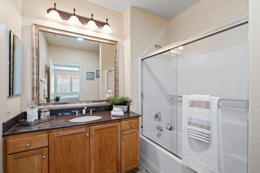 a bathroom with a sink and a shower and a mirror