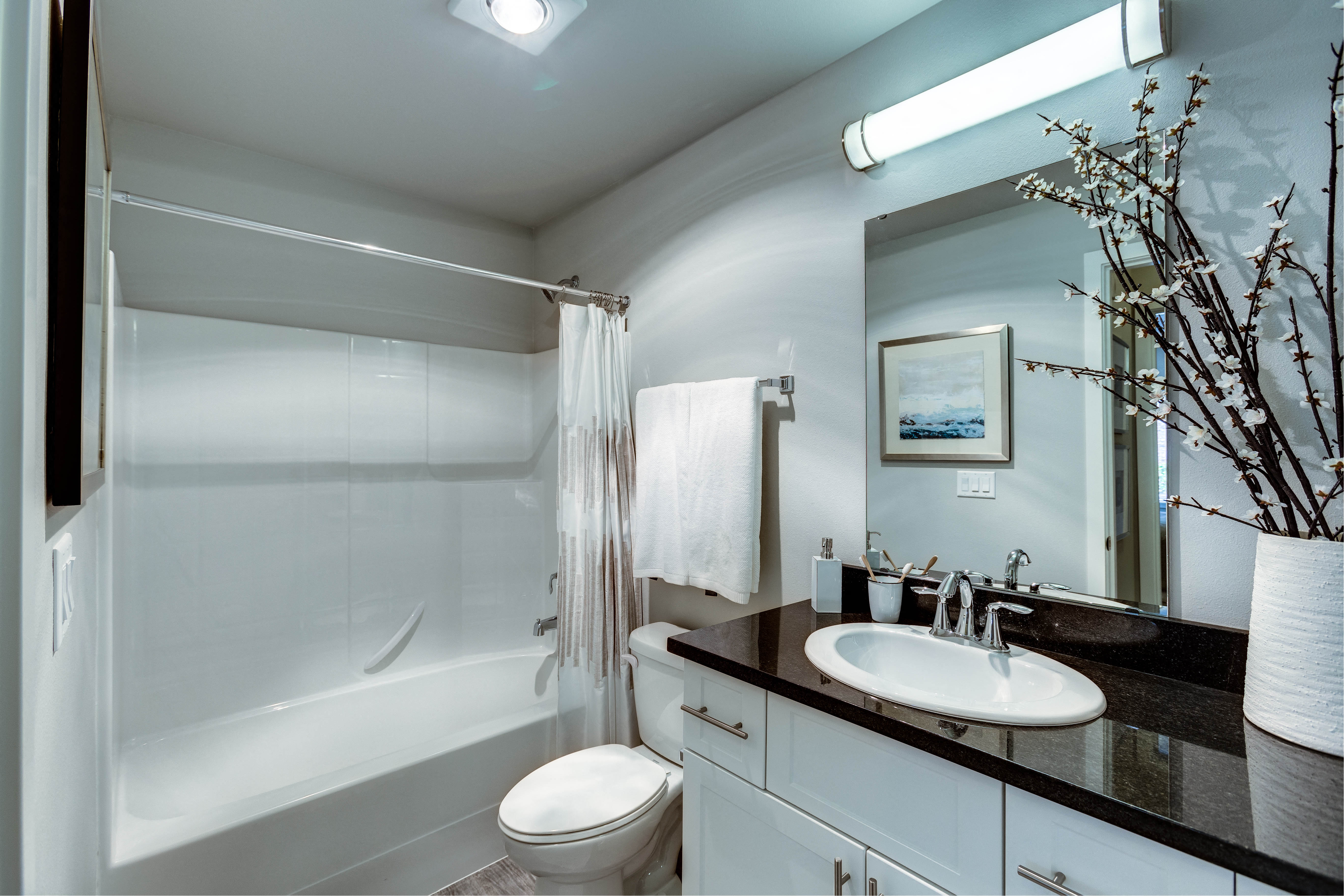 a bathroom with a sink and a toilet and a shower