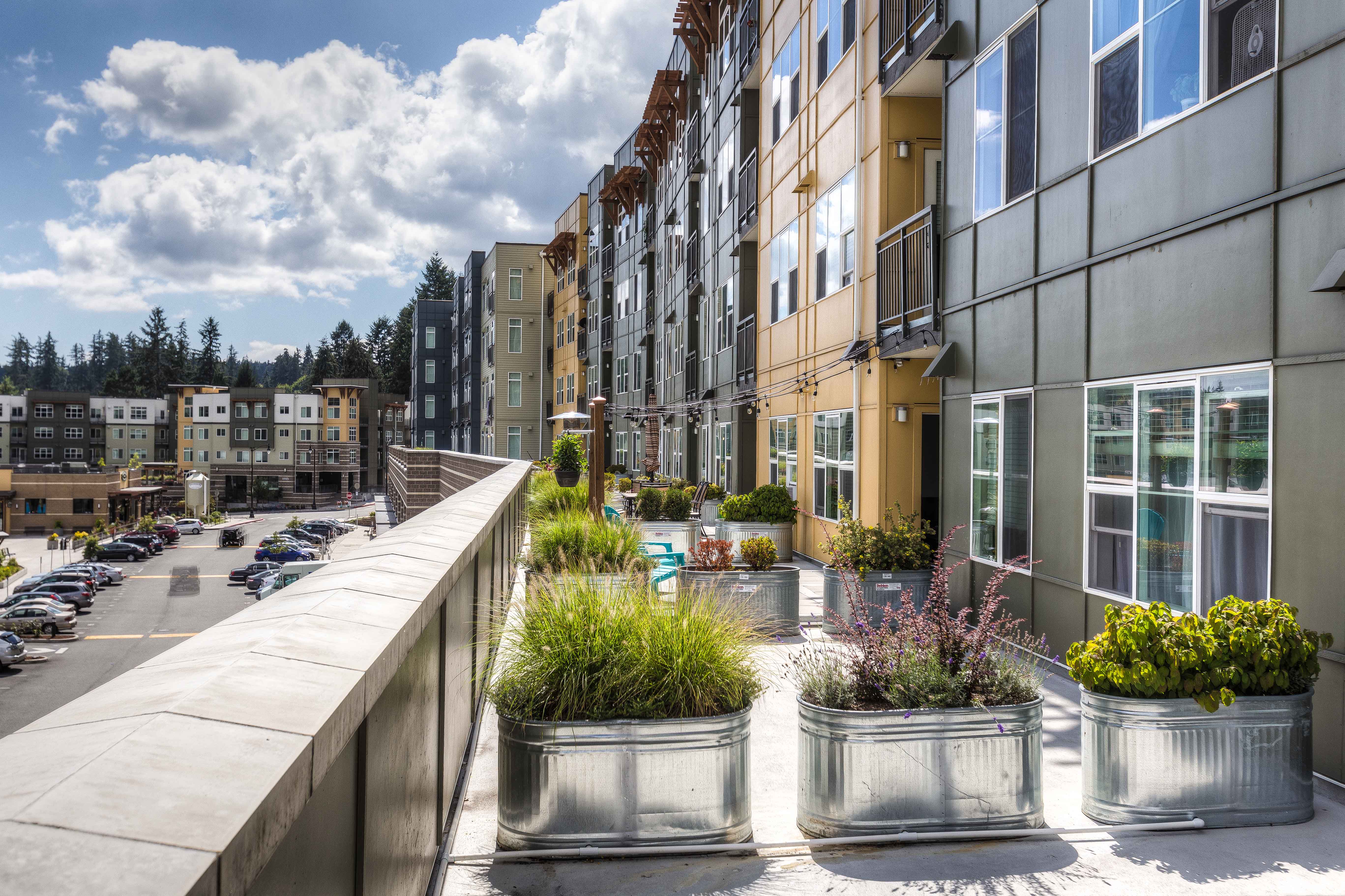 a row of potted plants in front of a building