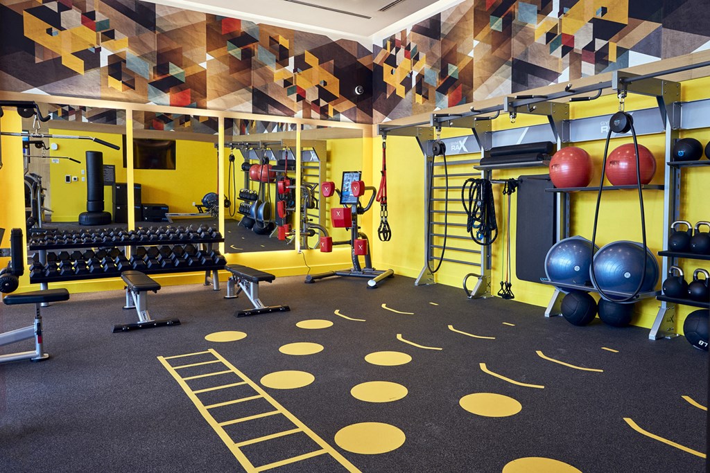 a gym with weights and cardio equipment on the floor