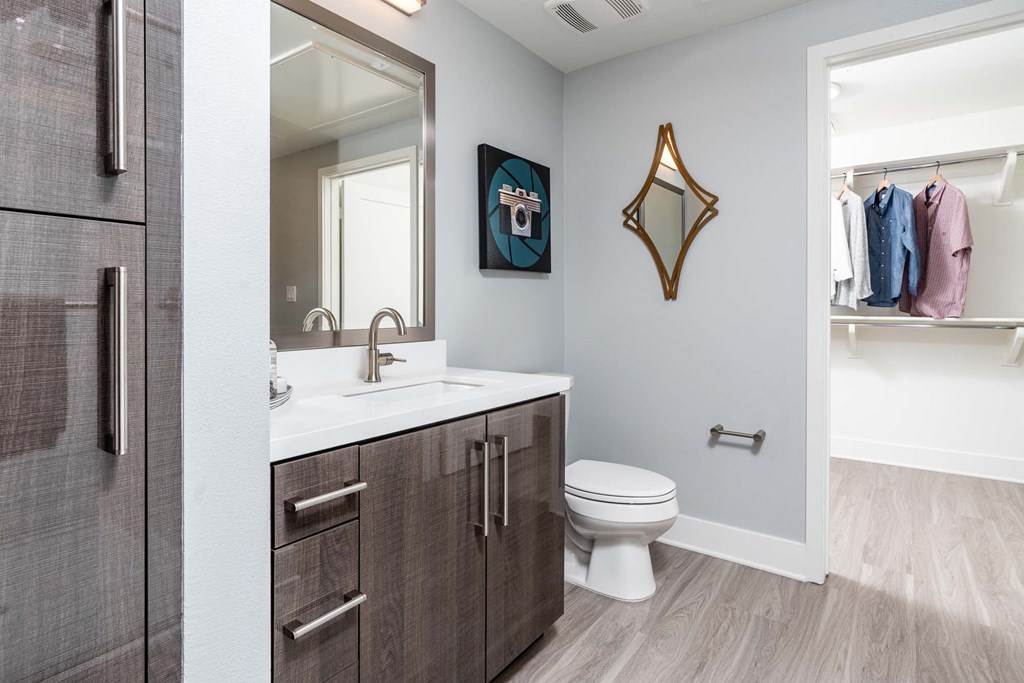 a bathroom with a sink and a toilet