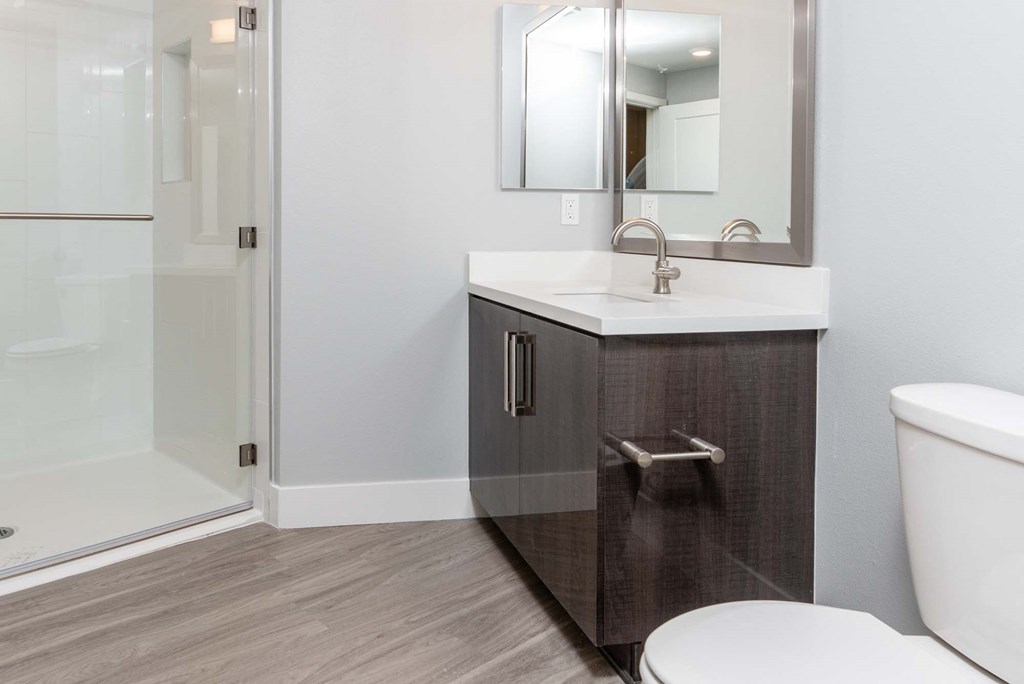 a bathroom with a sink and a toilet and a shower