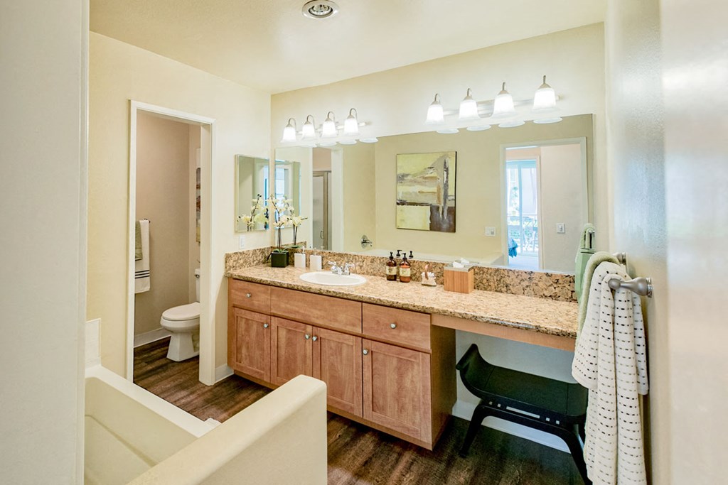 a bathroom with a sink and a toilet and a mirror