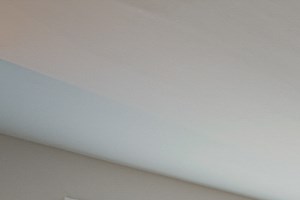 living room renovated remodeled hyde park chicago apartment dog friendly apartments in Hyde Park - Photo Gallery 4