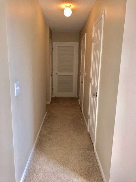 a hallway with a white door and a carpeted floor