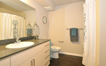 1711 12th Ave E 1 Bed Apartment for Rent - Photo Gallery 5