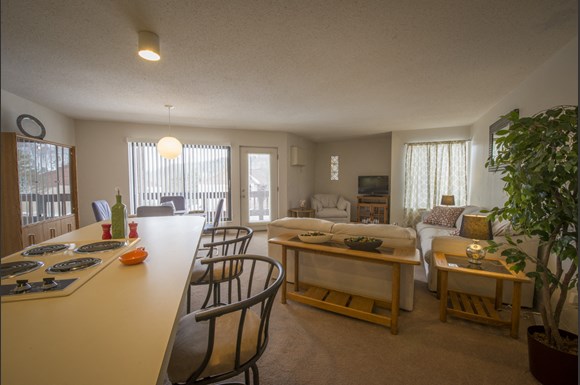 Indian Ridge Apartments Johnson City Ny Indian Ridge Apartments Johnson City Ny