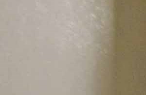 712 Tucker Apartments, 712 Tucker Street, Raleigh, NC - RENTCafé