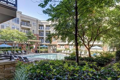 Poolside shrubbery to Nature at 712 Tucker, North Carolina