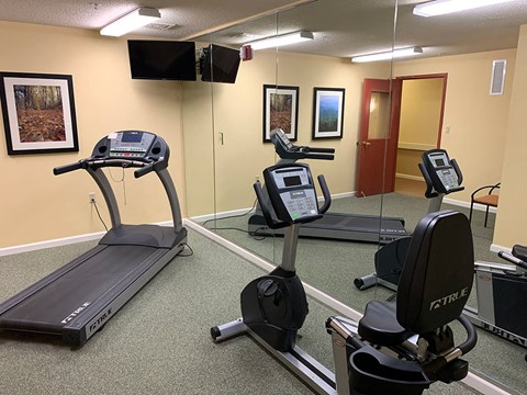 A fully equipped gym with a treadmill and a stationary bike.