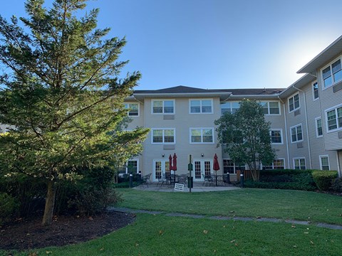 A sunny day at a residential apartment complex with a tree in the foreground.