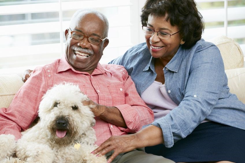an older man and woman sitting on a couch with a dog