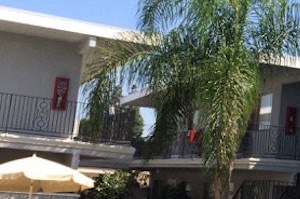 Pool 380 & 436 E. 2nd Street Studio-2 Beds Apartment for Rent - Photo Gallery 4