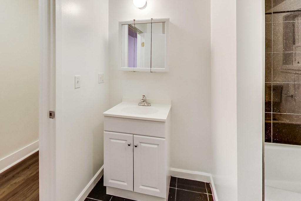 a bathroom with a sink and a mirror and a shower