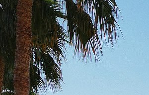 enclave at arrowhead apartments in peoria az