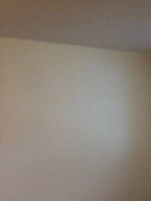 357 E Market St 2 Beds Apartment for Rent - Photo Gallery 2