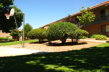 falcon-court--sierra-vista-basketball 355 N 7th Street Studio-2 Beds Apartment for Rent - Photo Gallery 4