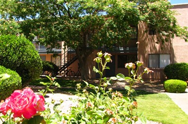355 N 7Th Street Studio-2 Beds Apartment for Rent