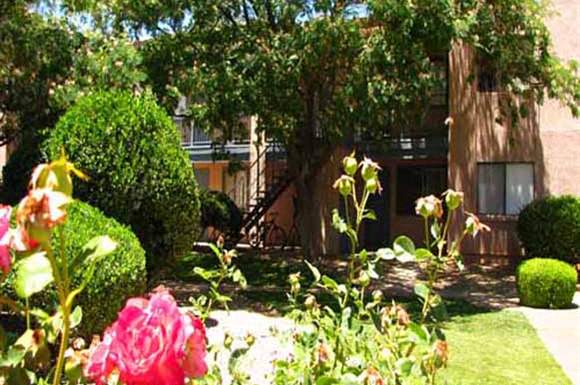 Clerk Of Court Sierra Vista Az