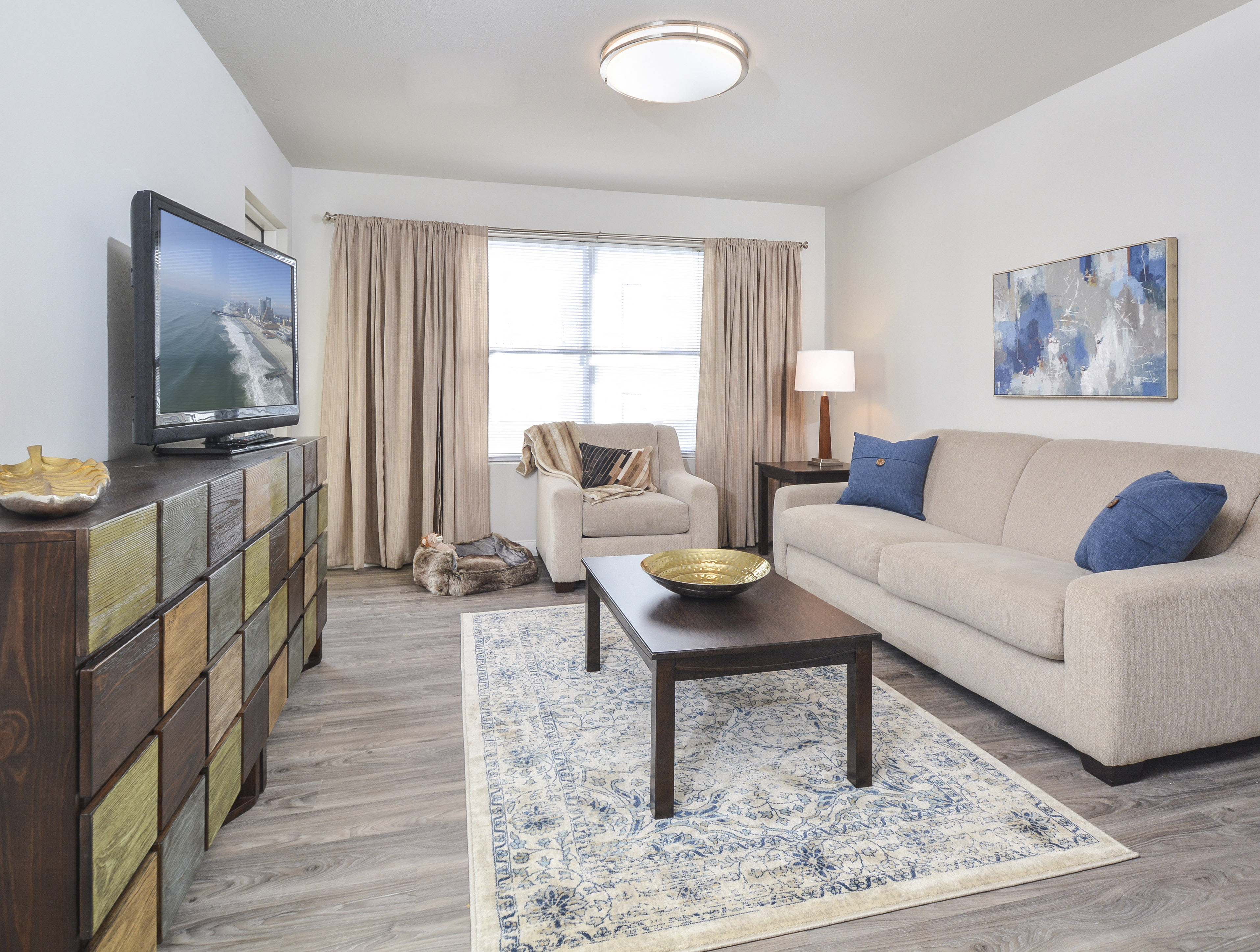 A living room with a television, couch, and a rug.