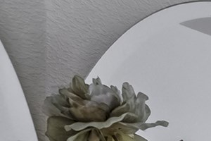 Ashley Park Apartments 10300 Pine Lakes Court Raleigh NC RentCafe Ashley Park Apartments 10300 Pine Lakes Court Raleigh NC RentCafe