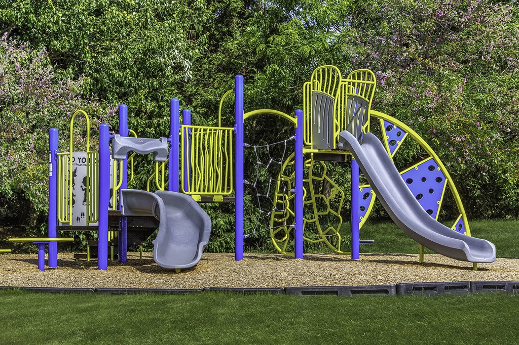 a playground with swings and slides and grass