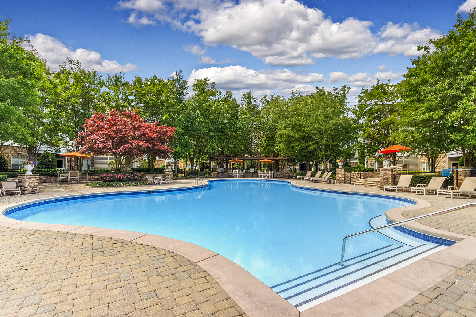 a swimming pool with trees and chairs around it