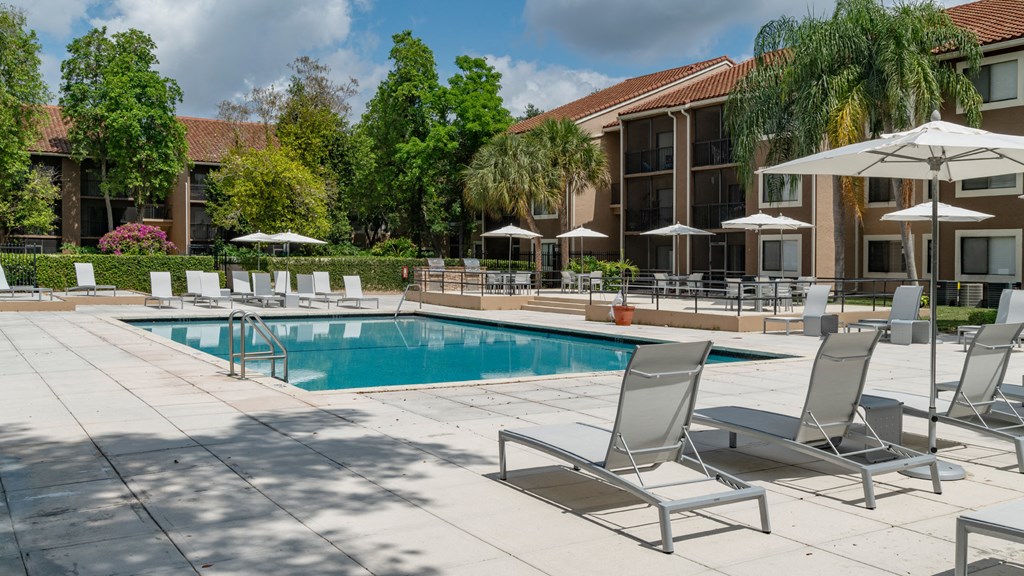 Laurels At Jacaranda