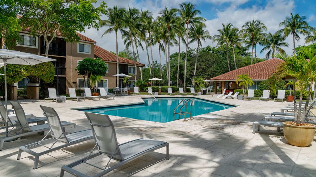 Laurels At Jacaranda