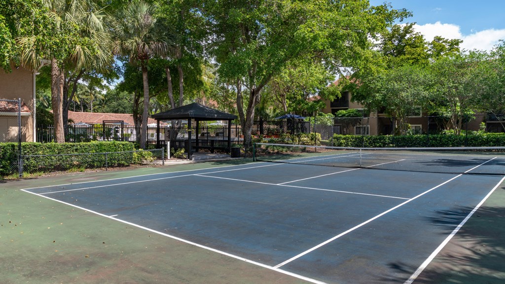 Laurels At Jacaranda