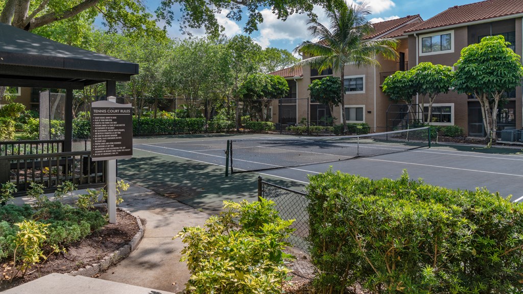 Laurels At Jacaranda