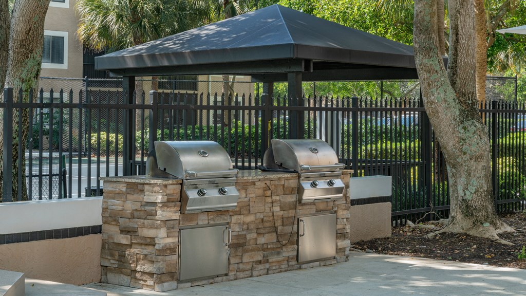 Laurels At Jacaranda