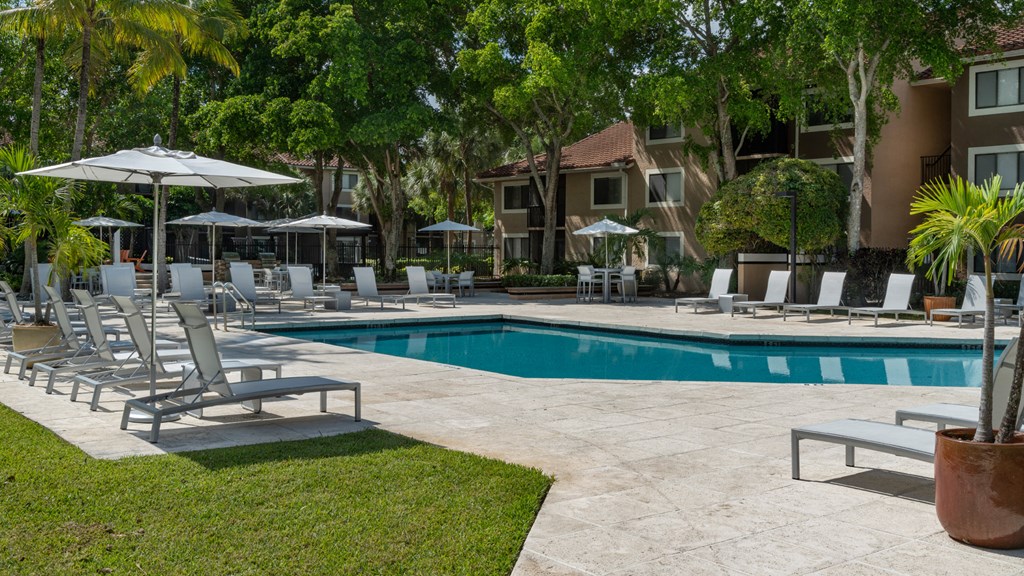 Laurels At Jacaranda