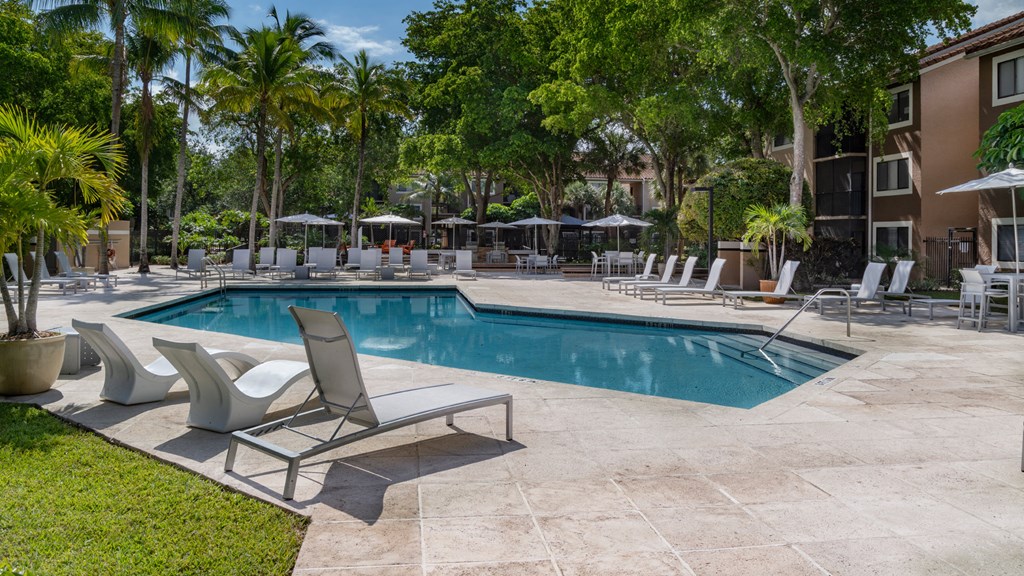 Laurels At Jacaranda