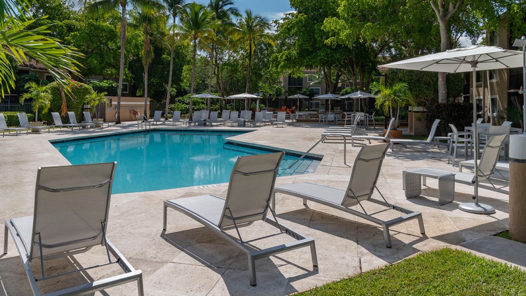 Laurels At Jacaranda