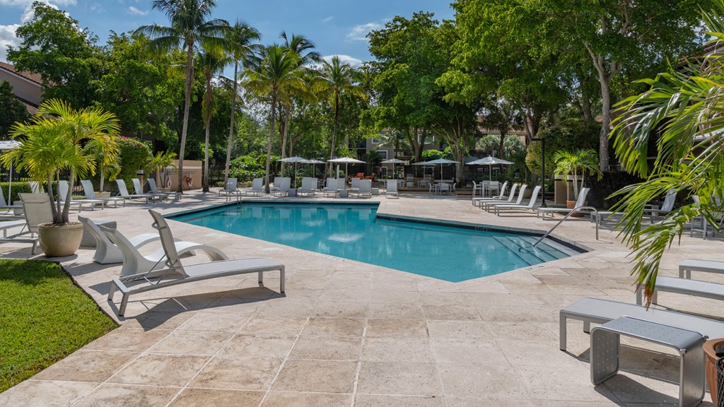 Laurels At Jacaranda