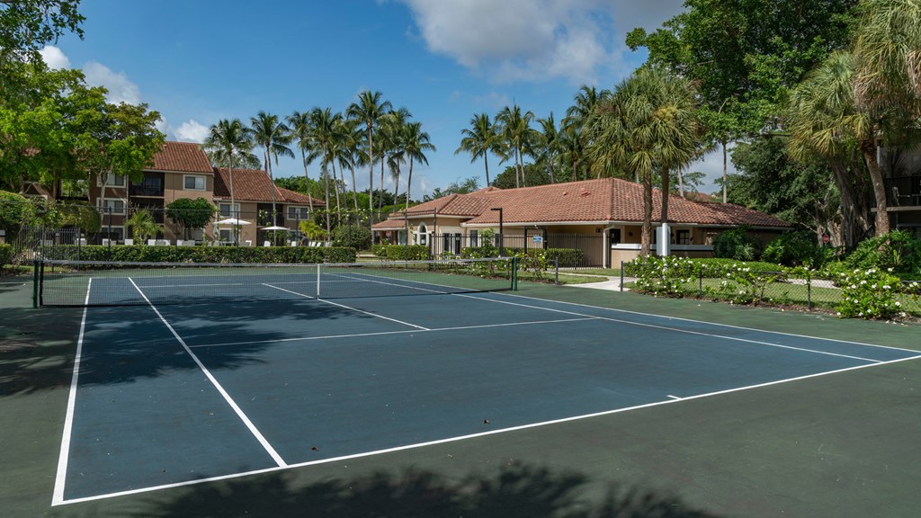 Laurels At Jacaranda