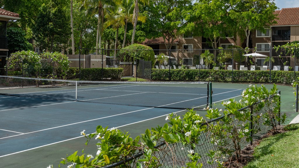 Laurels At Jacaranda