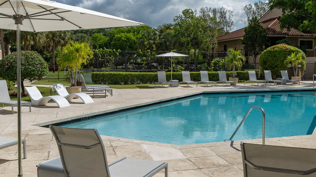 Laurels At Jacaranda