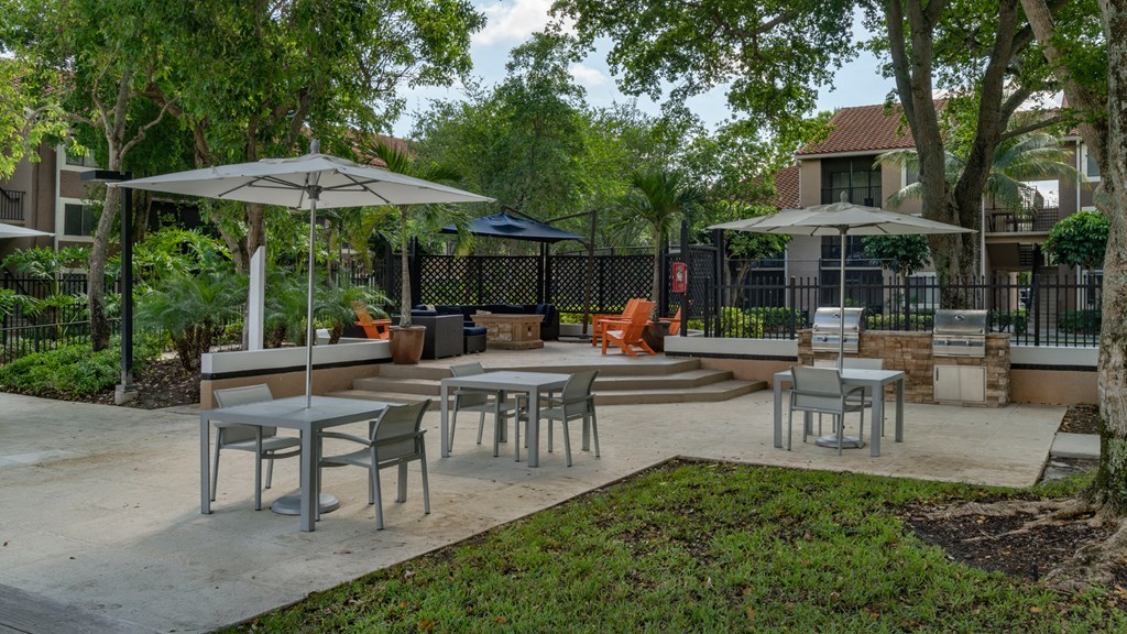 Laurels At Jacaranda