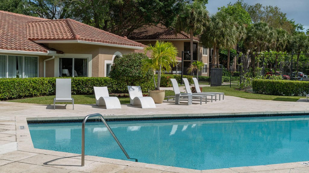 Laurels At Jacaranda