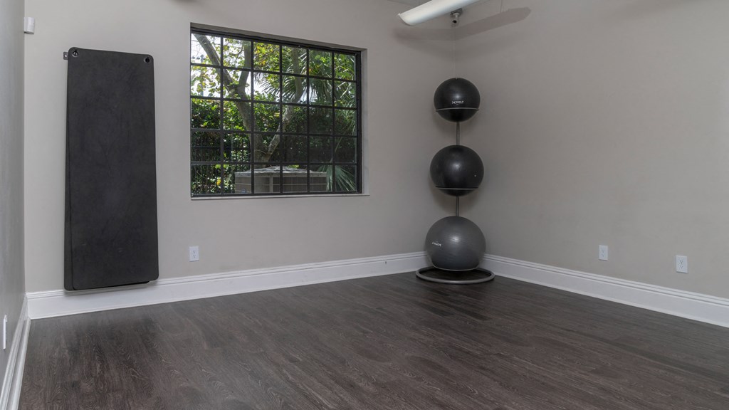 Laurels At Jacaranda