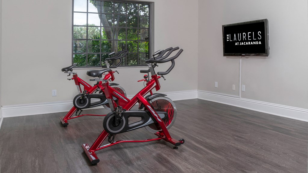 Laurels At Jacaranda