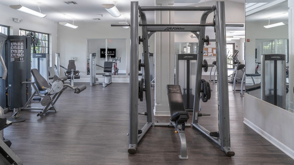 Laurels At Jacaranda