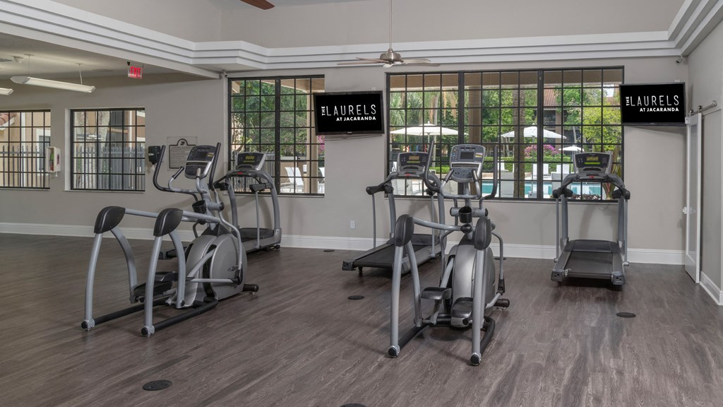 Laurels At Jacaranda