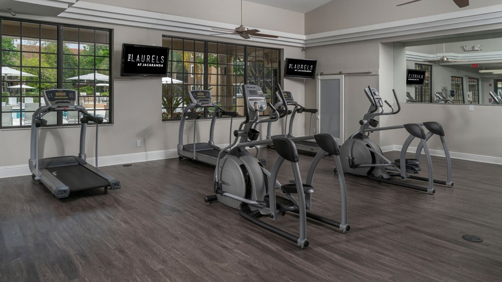 Laurels At Jacaranda