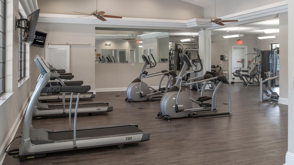 Laurels At Jacaranda