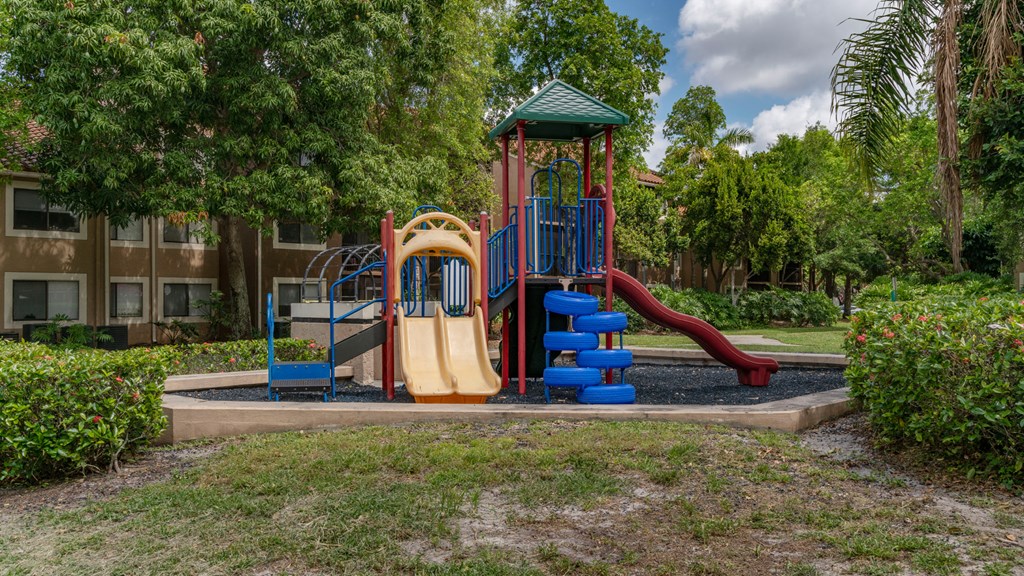 Laurels At Jacaranda