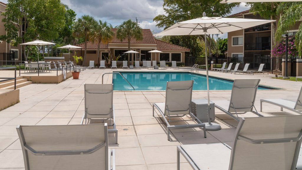 Laurels At Jacaranda