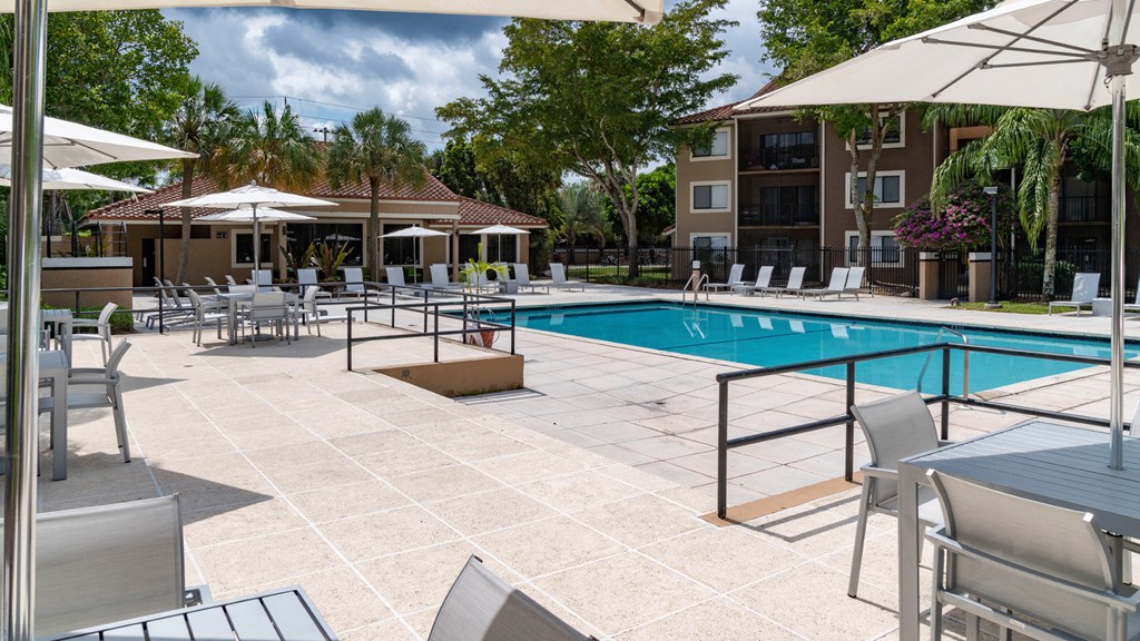 Laurels At Jacaranda